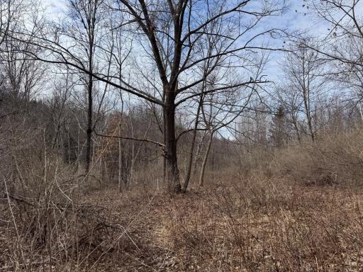 N305 Neisen Road, Coon Valley, WI 54623