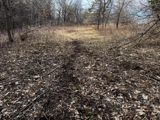 N305 Neisen Road, Coon Valley, WI 54623