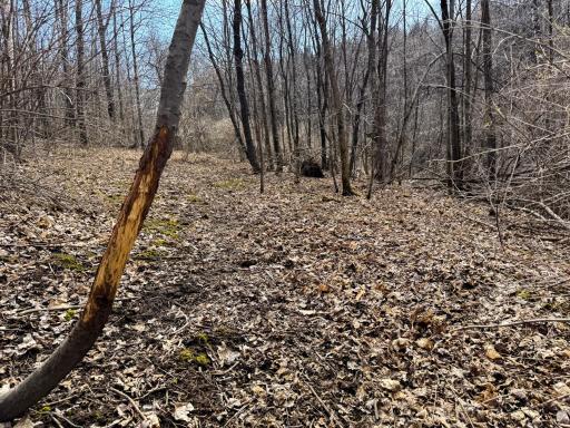 N305 Neisen Road, Coon Valley, WI 54623