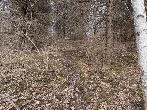 N305 Neisen Road, Coon Valley, WI 54623