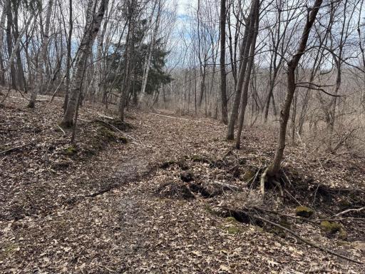 N305 Neisen Road, Coon Valley, WI 54623