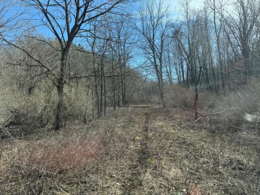 N305 Neisen Road, Coon Valley, WI 54623