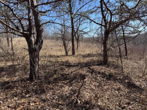 N305 Neisen Road, Coon Valley, WI 54623