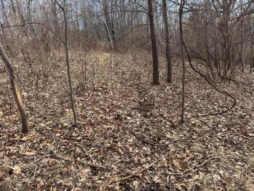 N305 Neisen Road, Coon Valley, WI 54623