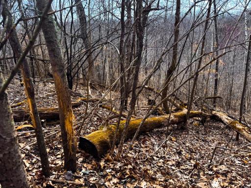 N305 Neisen Road, Coon Valley, WI 54623