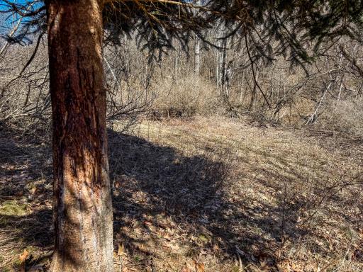 N305 Neisen Road, Coon Valley, WI 54623