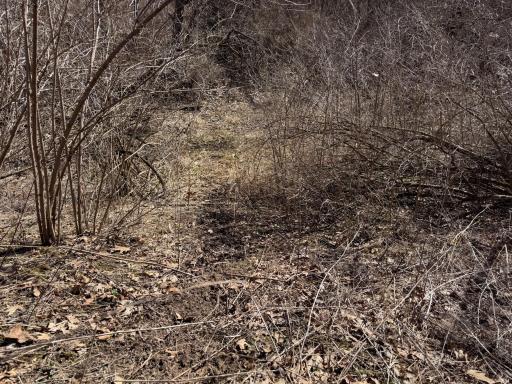 N305 Neisen Road, Coon Valley, WI 54623
