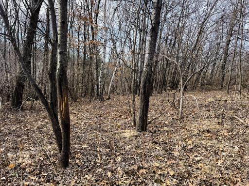 N305 Neisen Road, Coon Valley, WI 54623