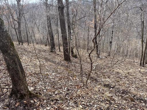 N305 Neisen Road, Coon Valley, WI 54623