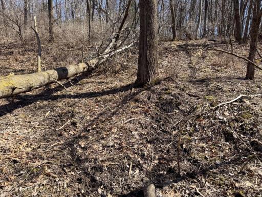 N305 Neisen Road, Coon Valley, WI 54623