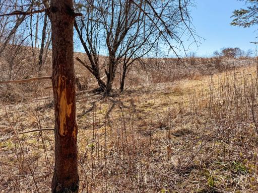 N305 Neisen Road, Coon Valley, WI 54623
