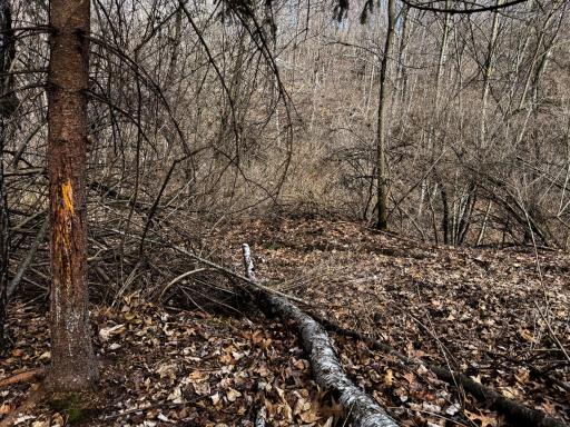 N305 Neisen Road, Coon Valley, WI 54623