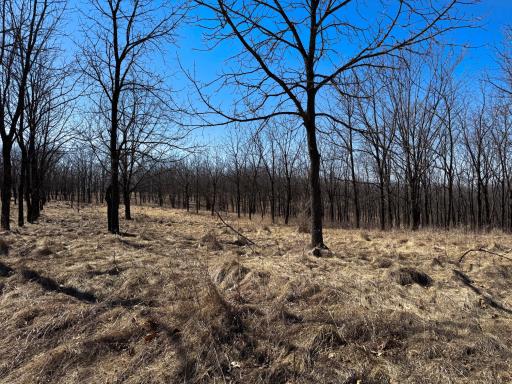 N305 Neisen Road, Coon Valley, WI 54623