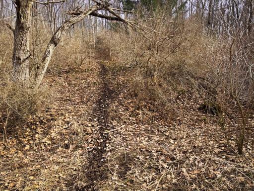 N305 Neisen Road, Coon Valley, WI 54623