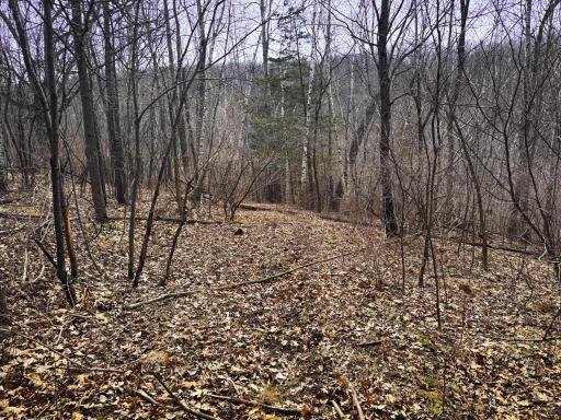 N305 Neisen Road, Coon Valley, WI 54623
