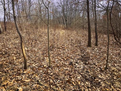 N305 Neisen Road, Coon Valley, WI 54623