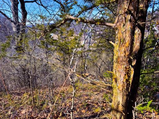 N305 Neisen Road, Coon Valley, WI 54623