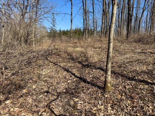 N305 Neisen Road, Coon Valley, WI 54623