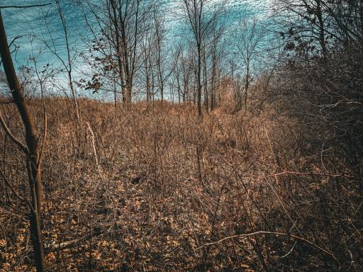 N305 Neisen Road, Coon Valley, WI 54623