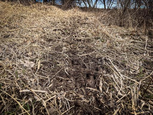 N305 Neisen Road, Coon Valley, WI 54623
