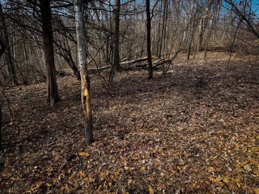 N305 Neisen Road, Coon Valley, WI 54623