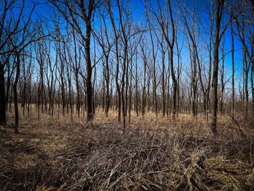 N305 Neisen Road, Coon Valley, WI 54623