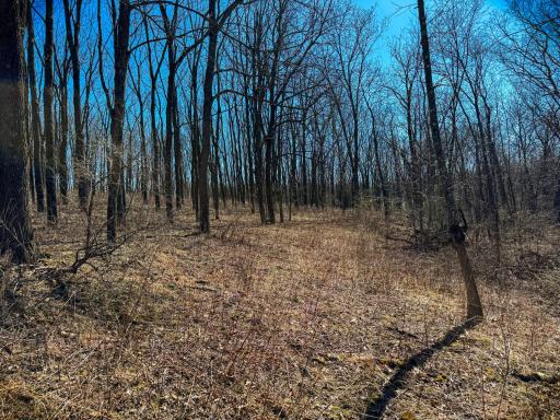 N305 Neisen Road, Coon Valley, WI 54623