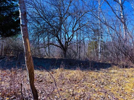 N305 Neisen Road, Coon Valley, WI 54623