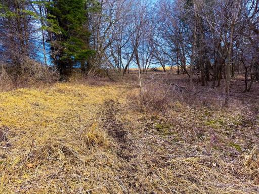 N305 Neisen Road, Coon Valley, WI 54623