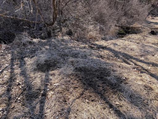 N305 Neisen Road, Coon Valley, WI 54623