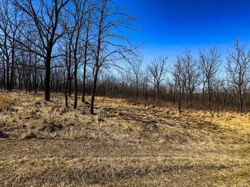 N305 Neisen Road, Coon Valley, WI 54623