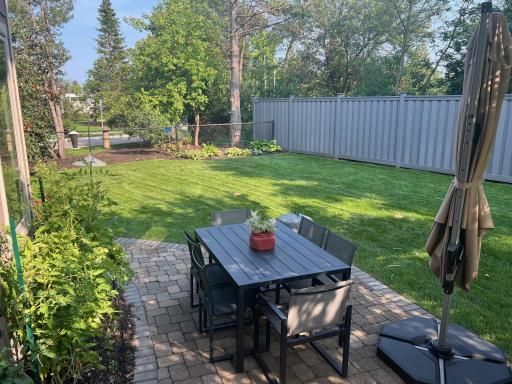 Green back yard.jpg