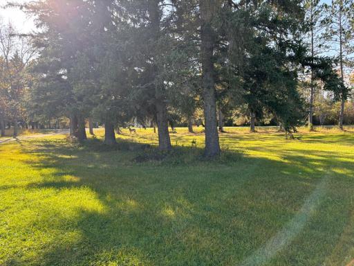 Photo for 2092 39th Street SE, Baudette, MN 56623 - Listing #6702710 2092 39th Street SE, Baudette, MN 56623