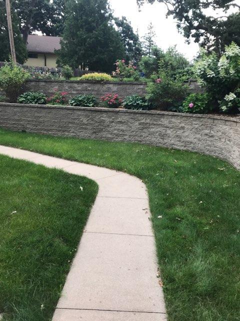 Perennials in the backyard