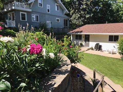 Perennials in the backyard