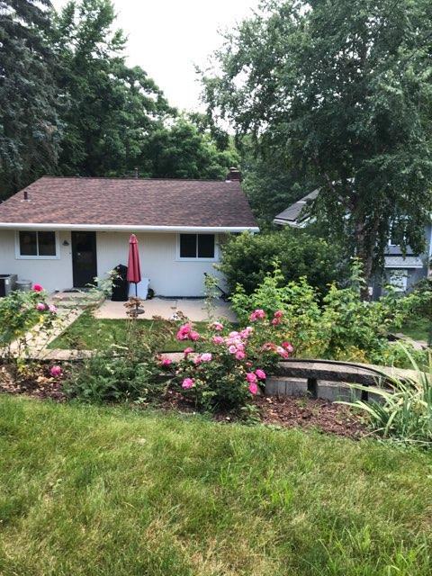 Perennials in the backyard
