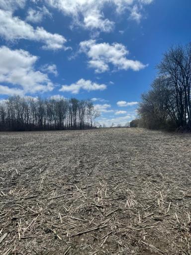 0000 County Road W, Downing, WI 54734