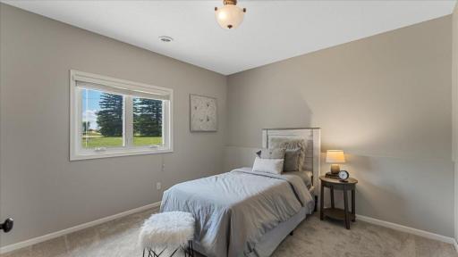 4th bedroom in lower level with daylight windows facing South