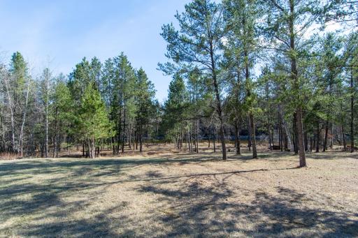 xxx Parkview Circle, Baxter, MN 56425