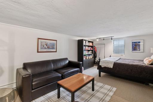 Lower level bedroom. Flex room could also be used as a family room or storage.