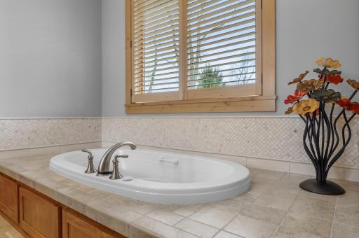 623 N Shore Drive, Forest Lake, MN 55025