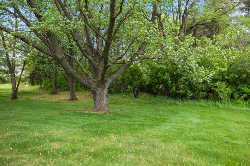 2591 Carver Avenue E, Saint Paul, MN 55119