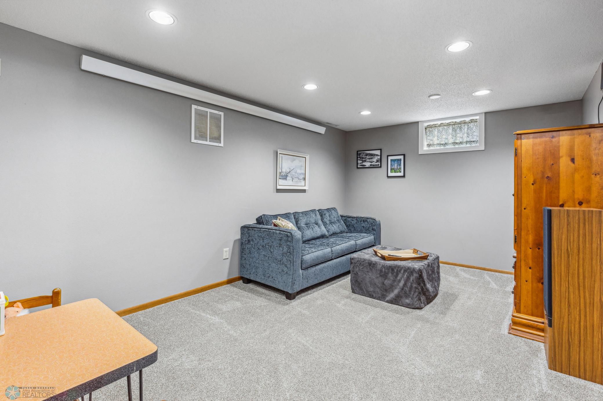 Basement Family room