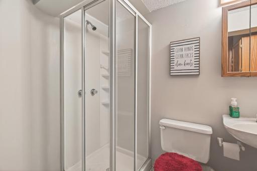 1224 Gary Drive, Saint Paul Park, MN 55071