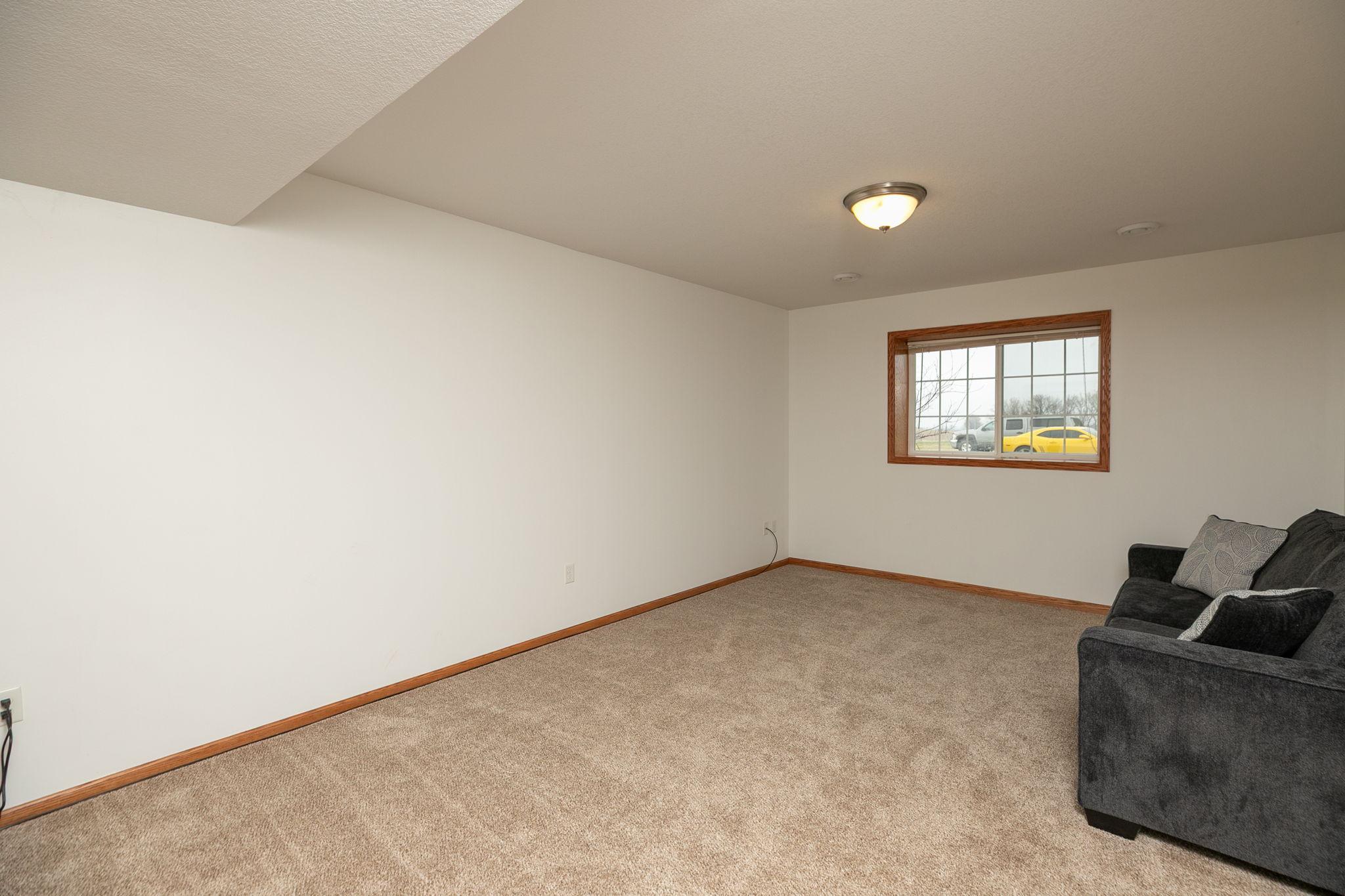 Family Room-lower level