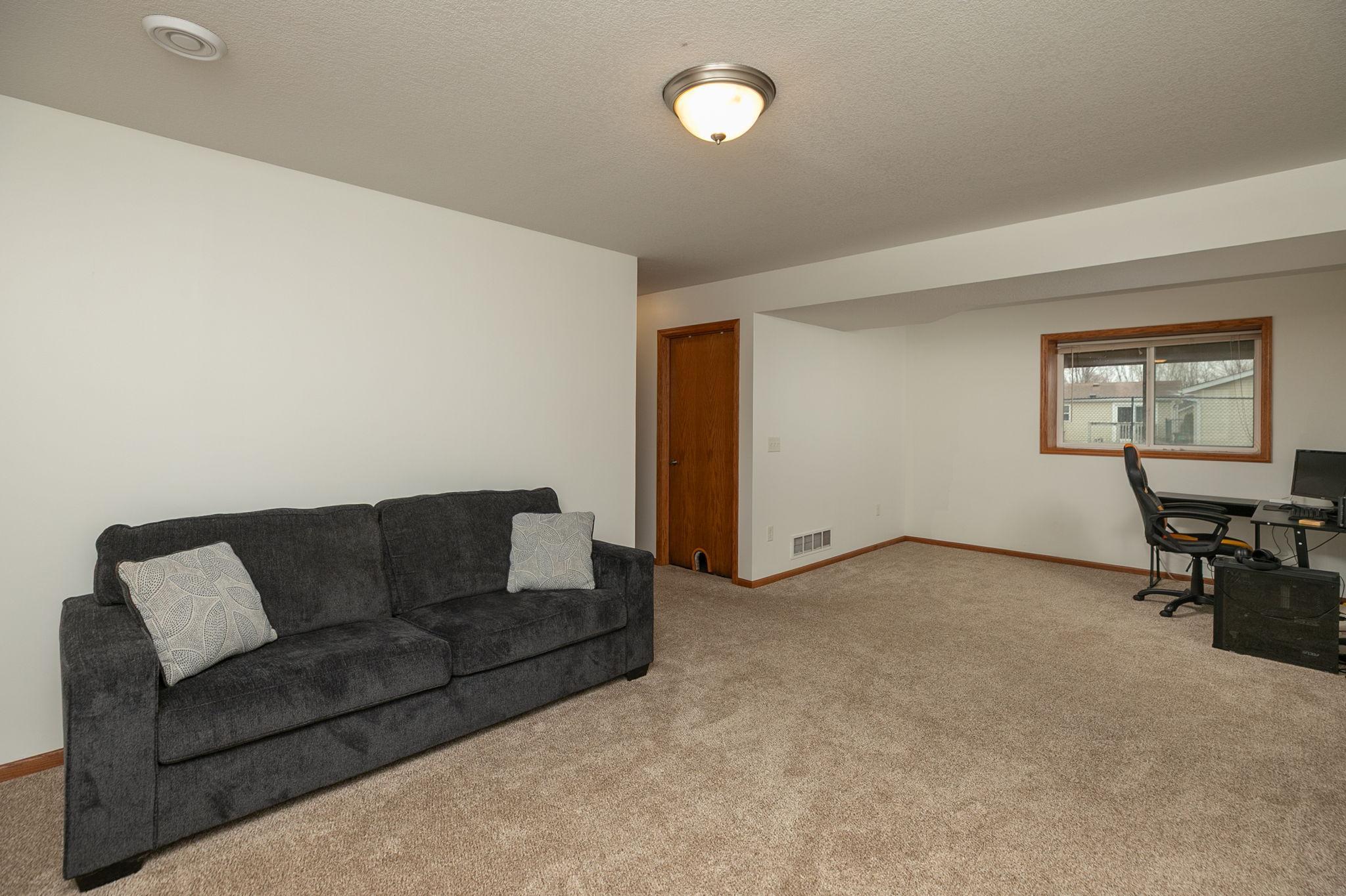 Family Room-lower level