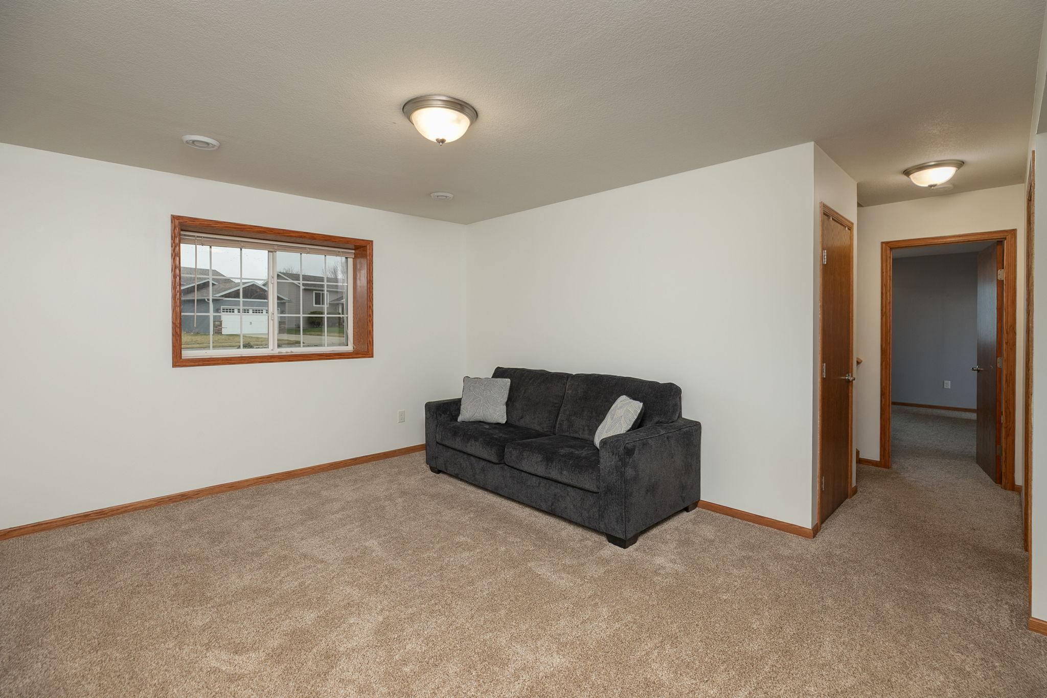 Family Room-lower level