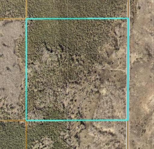 TBD XXX, Emily, MN 56447
