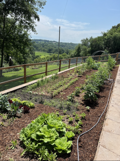 Garden in bloom