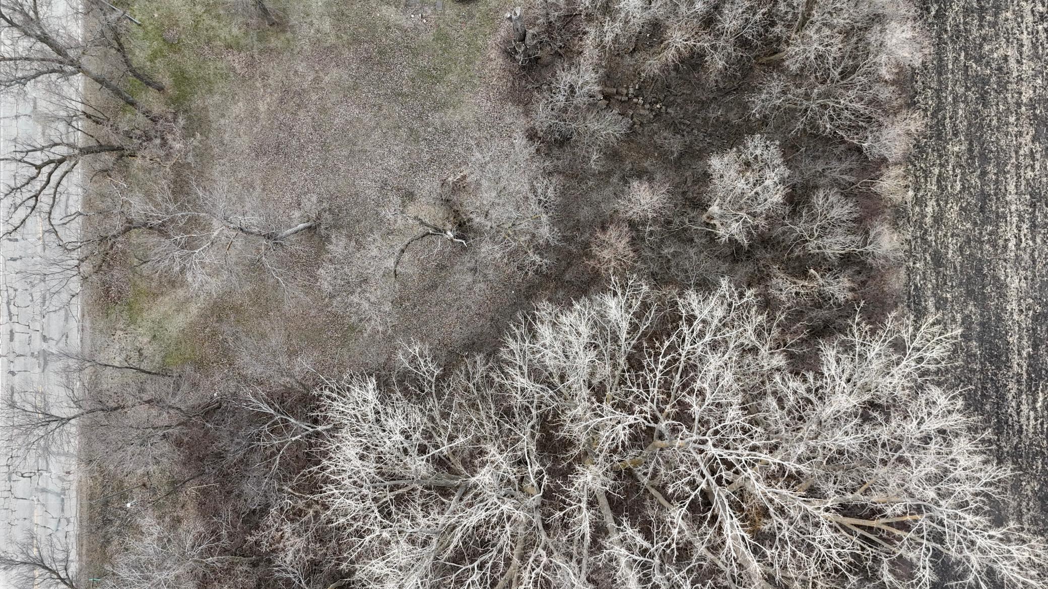 DJI_20250415125532_0093_D.JPG